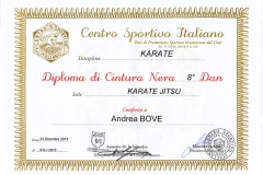 Diploma_CSI_Dan_8_Karate_maestro_Andrea_Bove